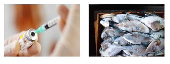 1573785665228330.png image.png